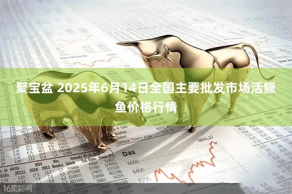 聚宝盆 2025年6月14日全国主要批发市场活鳜鱼价格行情
