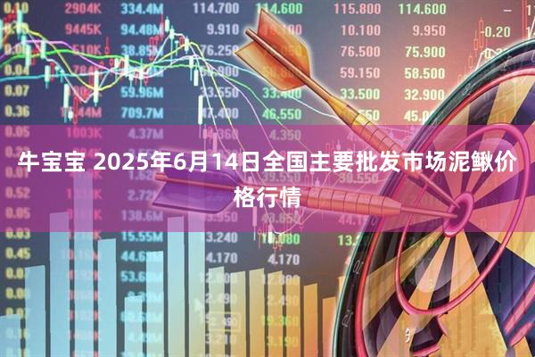 牛宝宝 2025年6月14日全国主要批发市场泥鳅价格行情