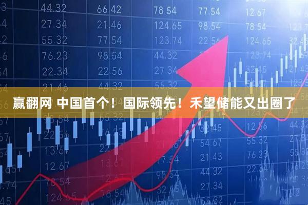 赢翻网 中国首个！国际领先！禾望储能又出圈了