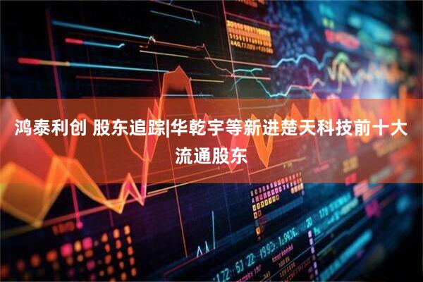 鸿泰利创 股东追踪|华乾宇等新进楚天科技前十大流通股东