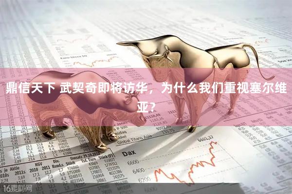 鼎信天下 武契奇即将访华，为什么我们重视塞尔维亚？